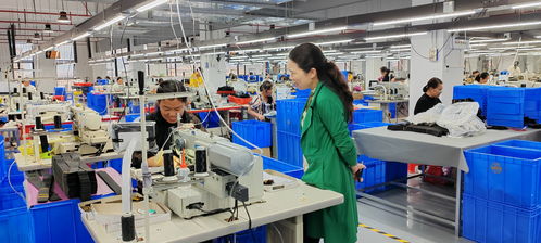 藍(lán)山委員提案助推產(chǎn)業(yè)大發(fā)展，央廣網(wǎng)聚焦社會(huì)經(jīng)濟(jì)咨詢服務(wù)